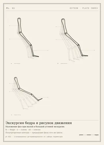 Плита 11: Экскурсия бедра и рисунок движения